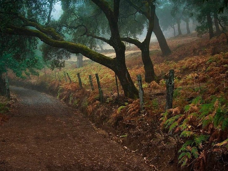 Finca Charco la Olla